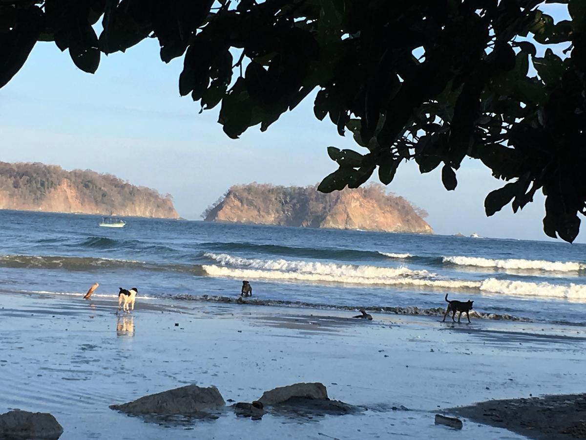 Perlitas Playa Hotel